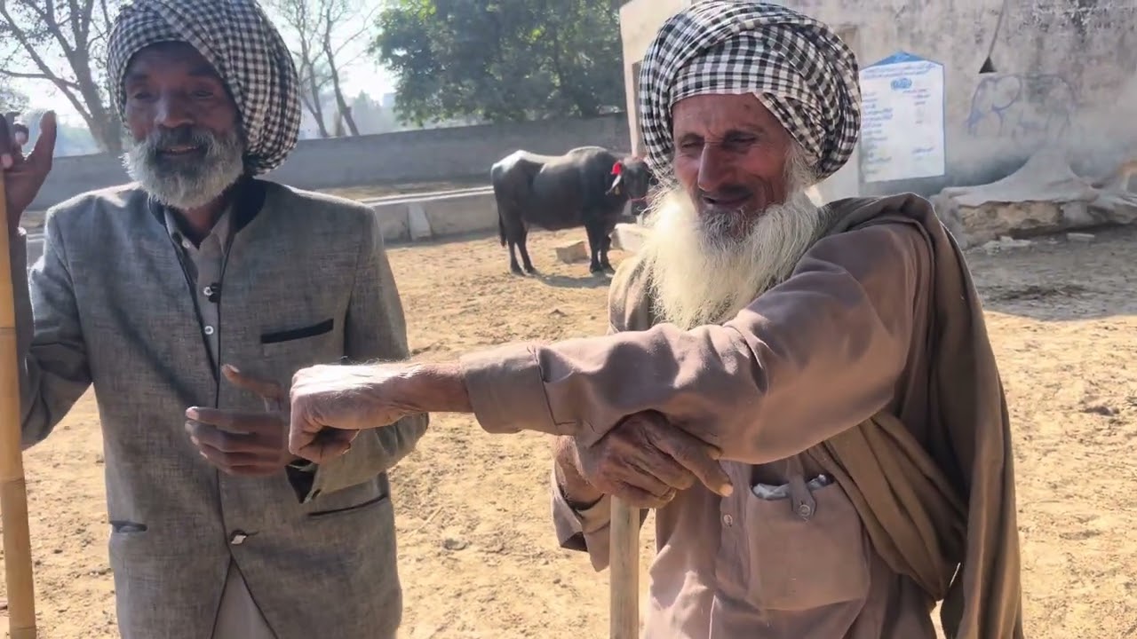 ਦੇਖੋ ਪਿੰਡ ਦੇ ਟੋਭੇ ਚ ਪਸ਼ੂ ਕਿਵੇਂ ਲੈਦੇ ਨੇ ਨਜ਼ਾਰੇ ਹੋਰ ਕਿੱਥੇ ਕਿੱਥੇ ਨੇ ਇਹਨੇ ਪਸ਼ੂ ਟੋਭੇ ਤੇ Comment ਕਰਿੳ