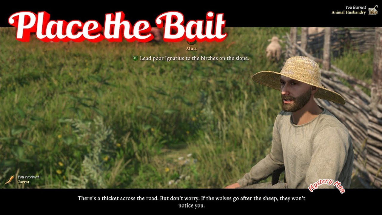 Kingdom come deliverance 2 Mutt | Place Bait near the birches on the slop | Hinde in the Bushes