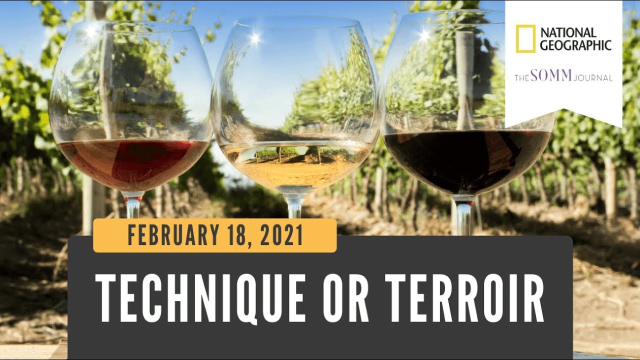 Technique or Terroir: Is It Production or Nature That Makes These Wines Great?