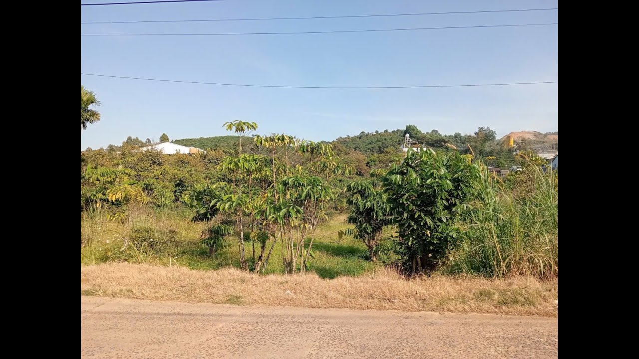 1 Sào Bảo Lộc, ql20 vào 500m. Qhtc 