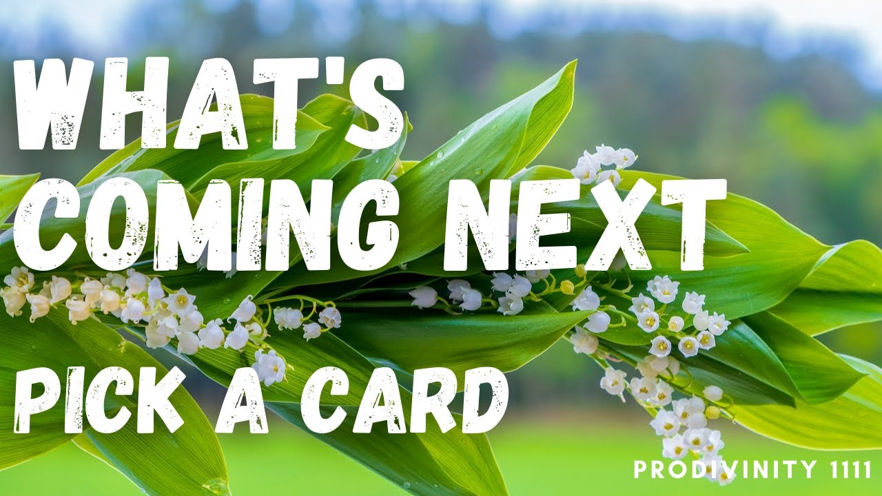 Pick a Card - What's Coming in June 2019