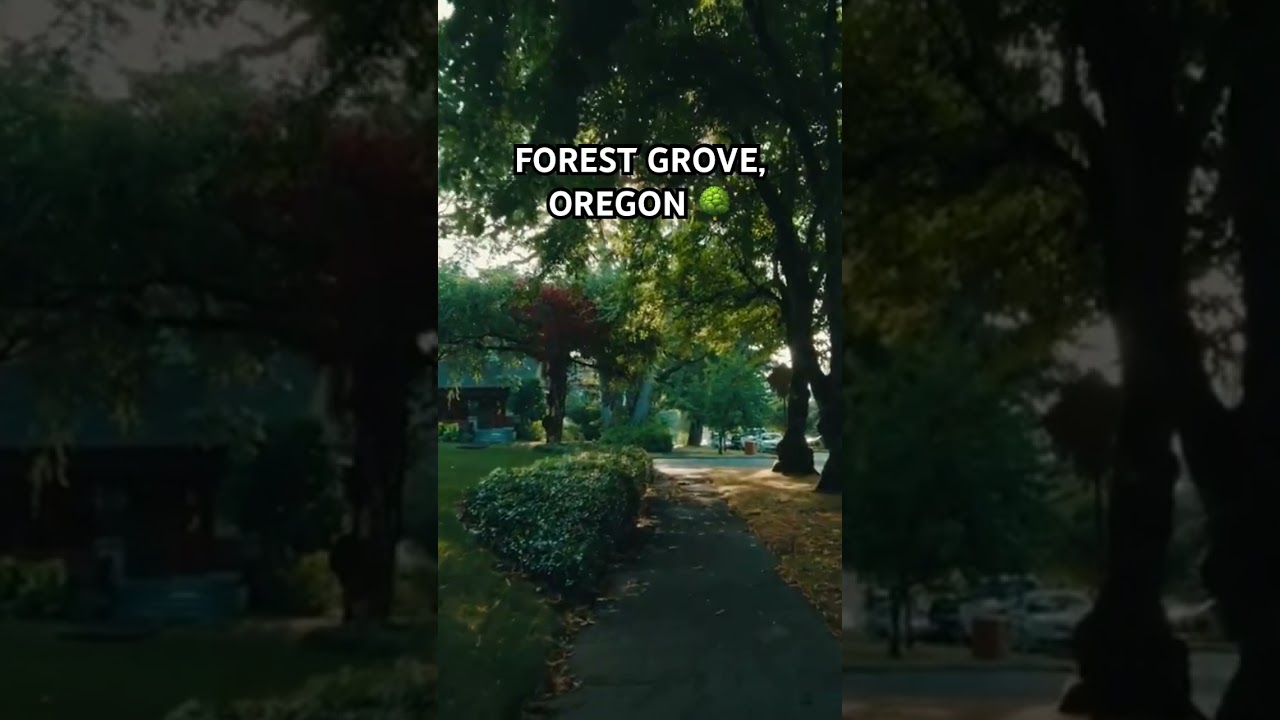 Relaxing Walk Through Forest Grove, Oregon #oregon