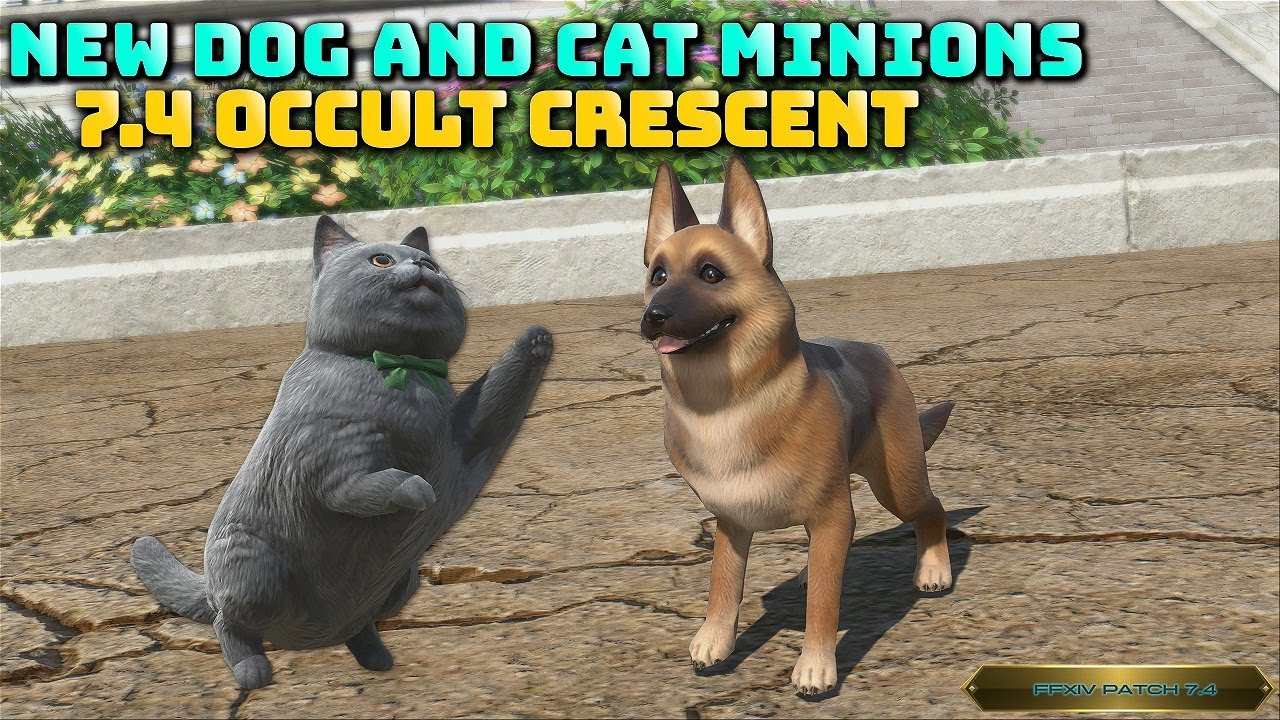 FFXIV: New Cat & Dog Minions - 7.4