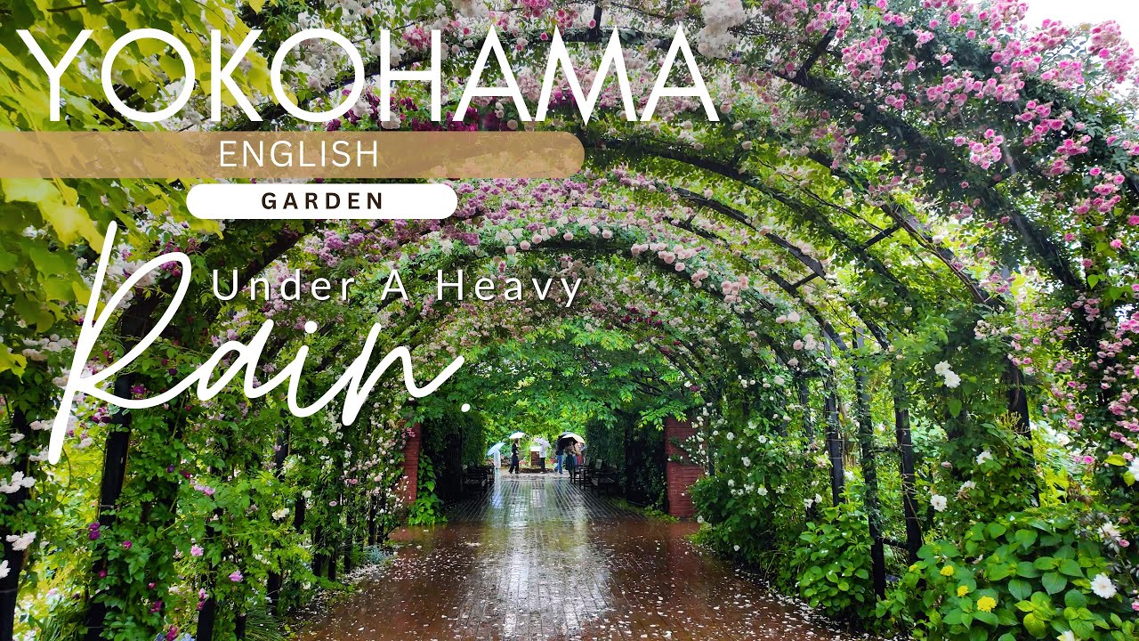 WARNING: Extreme Flower FOMO Ahead&mdash;Japan&rsquo;s Rain-Kissed Garden Walk in 4K