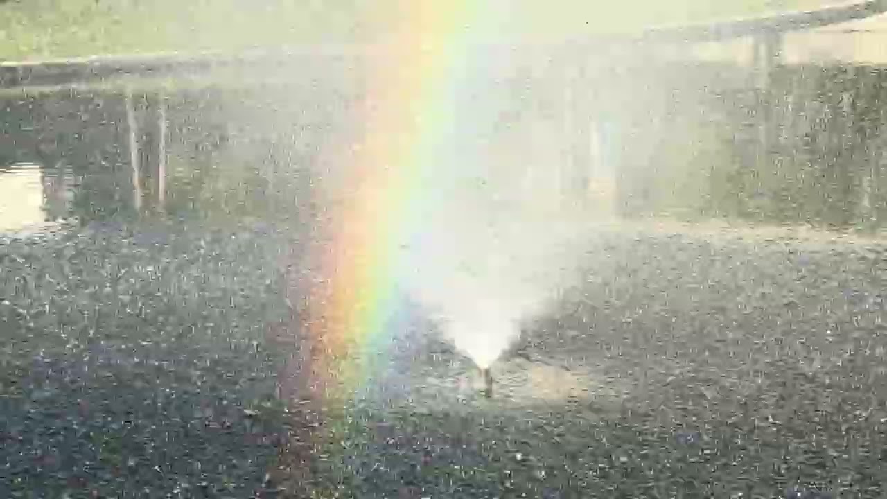 I was looking at the rainbow