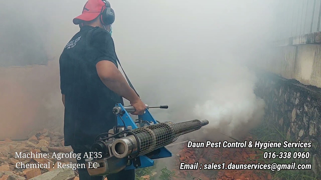 Fogging Nyamuk