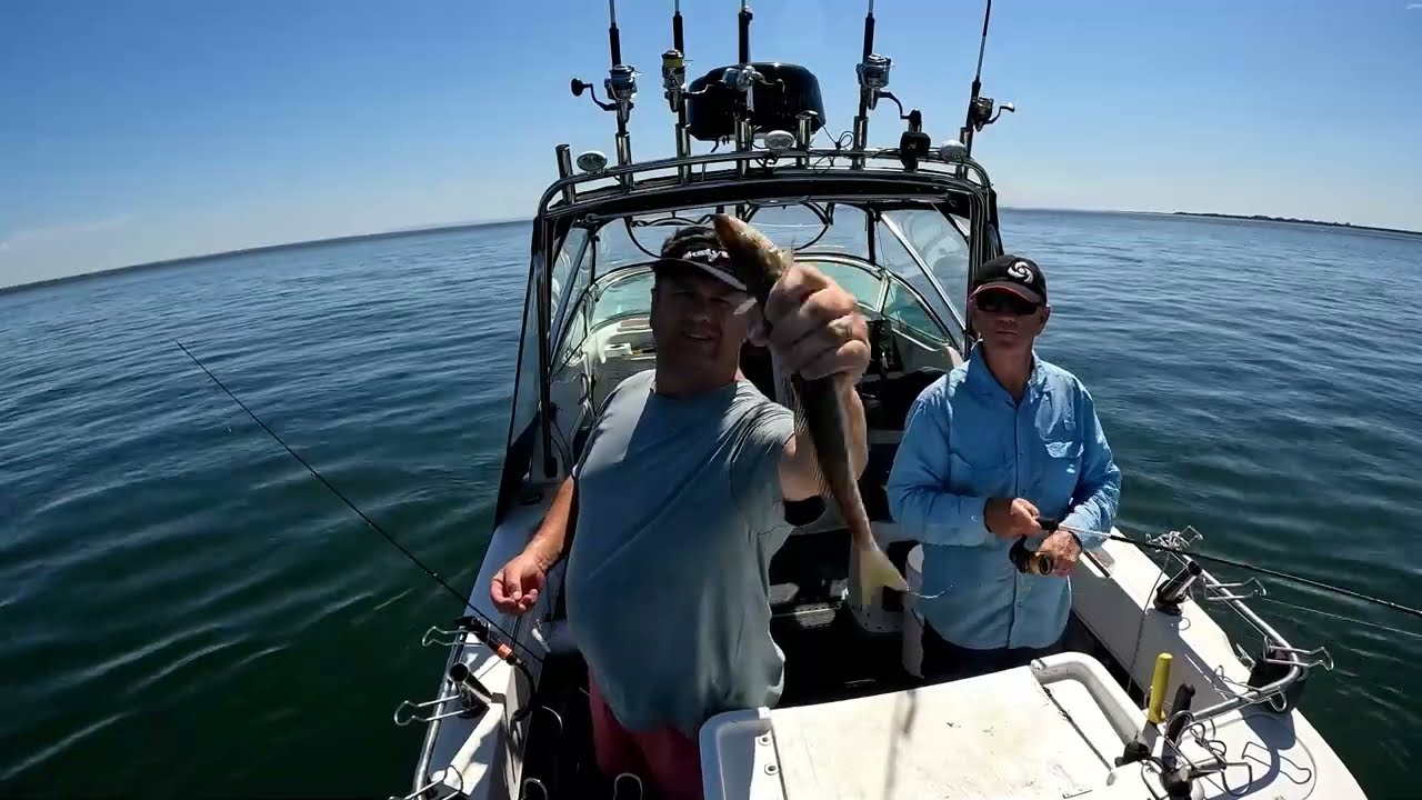 WesternPort Whiting and Squid
