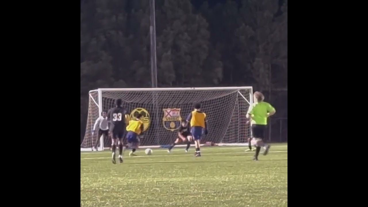 Goal 1