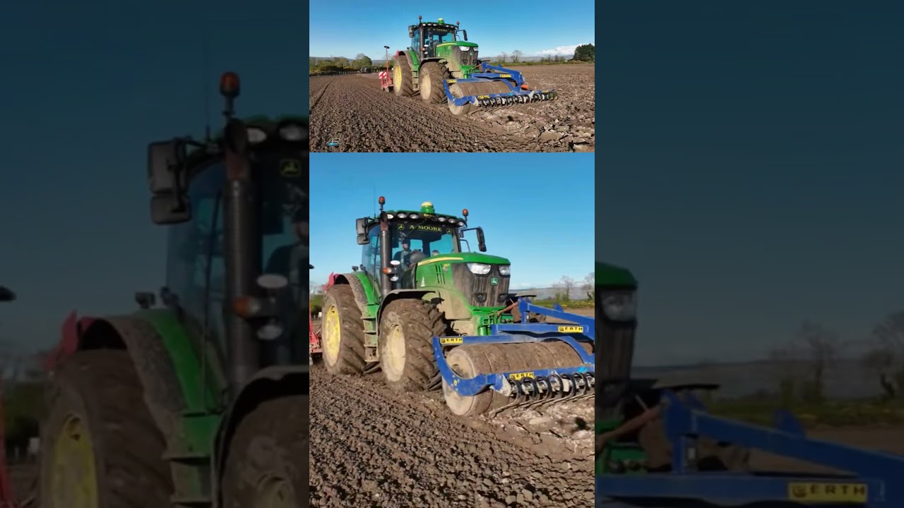 drilling spring barley 