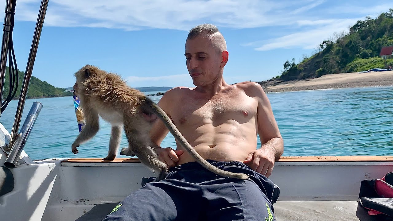 Swimming Macaques  ~ Monkey Island (Koh Ling)  ~ Pattaya & Bang Saray, Thailand
