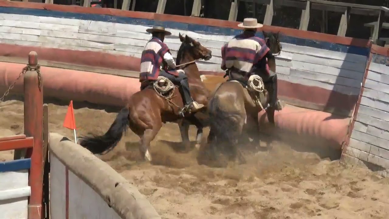 4TA SERIE RODEO ASOCIACIÓN ENTRE COSTA Y VALLES 2DA PARTE