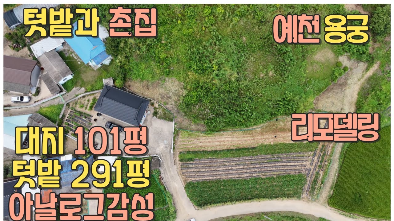 45.문경 근교 예천군 용궁면 아날로그 감성 주택과 텃밭 #촌집 #전원주택 #문경부동산 #농어촌민박