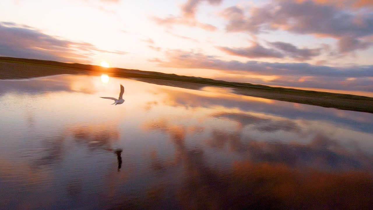 CINEMATIC FPV - The Feeling of Flight [4K]