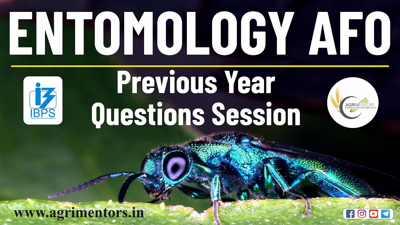 Entomology AFO Previous Year Questions Session | Agricultural #Entomology | AFO | NABARD | RRB-SO