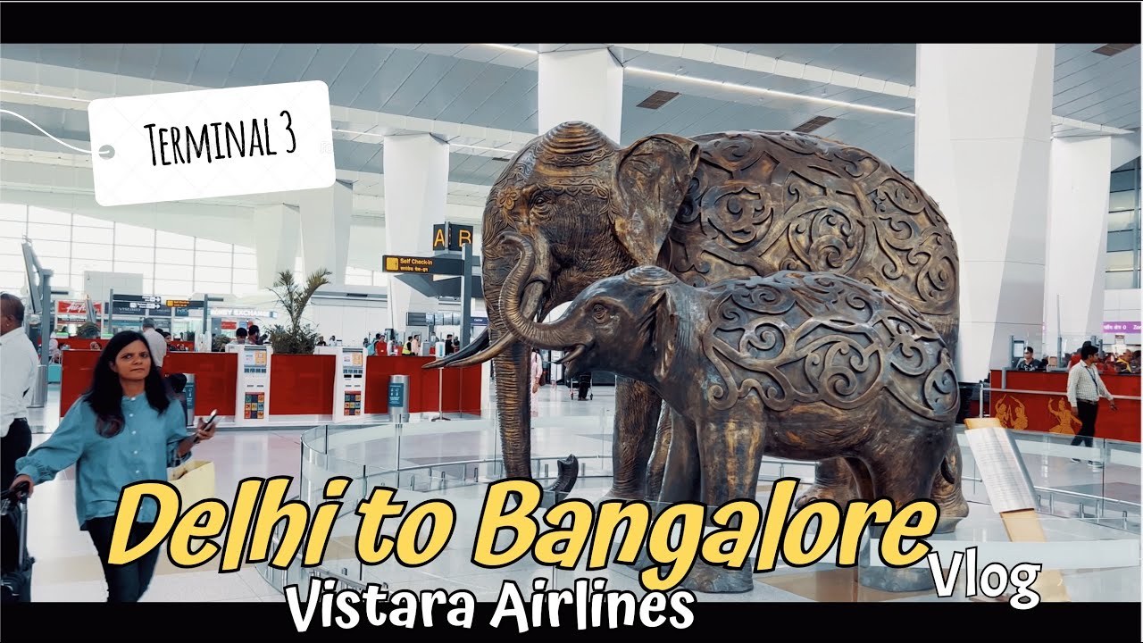 Terminal 3 at Delhi Airport - Delhi To Bangalore | First Time by Flight | GS Adventure Vlogs