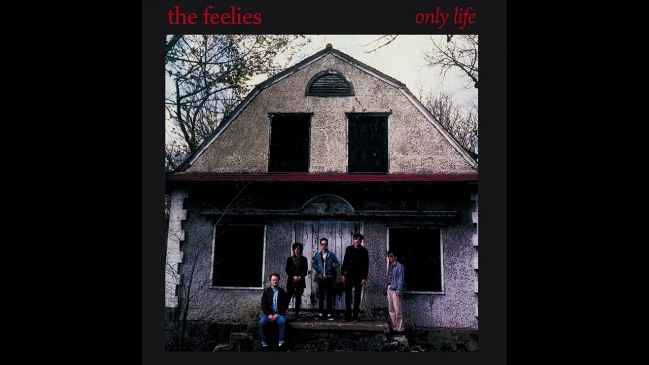 The Feelies - Higher Ground