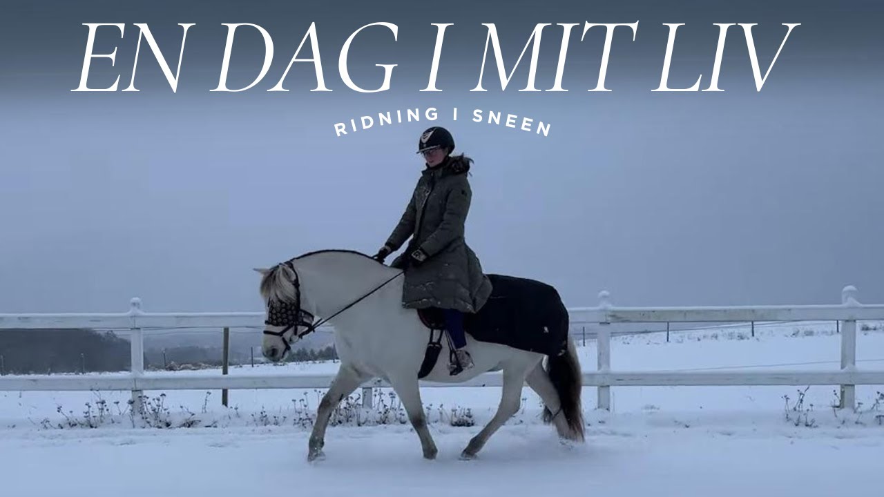 VLOG# En dag i stalden + opdatering på Atom