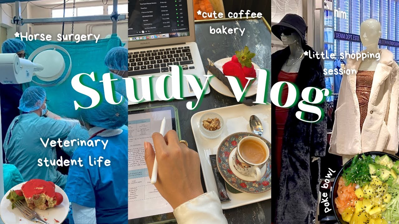Study vlog vet student 🐶 Horse surgery🐎 study session in cute coffee shop,cozy vibes lofi music 🎧