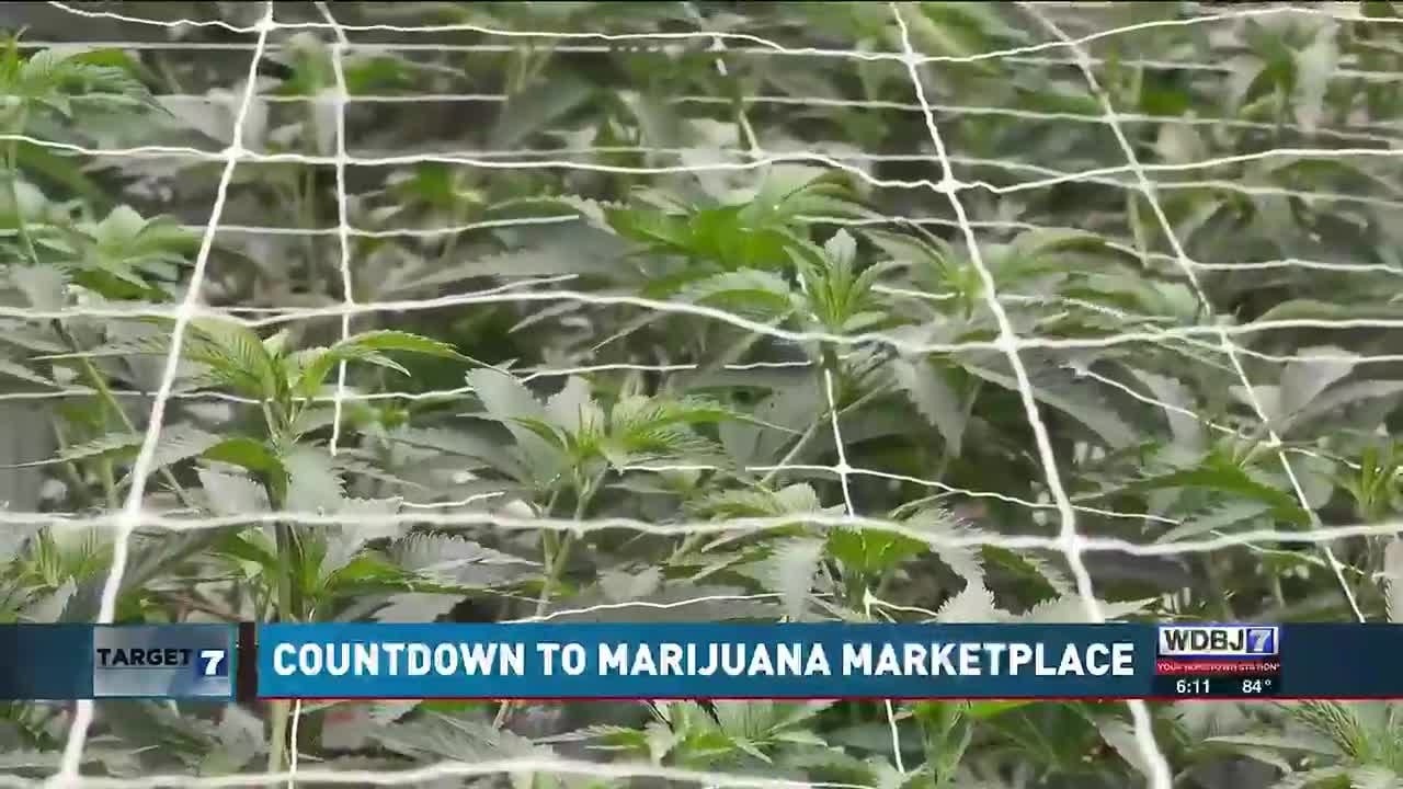 Target 7: Countdown to Marijuana Marketplace in Virginia