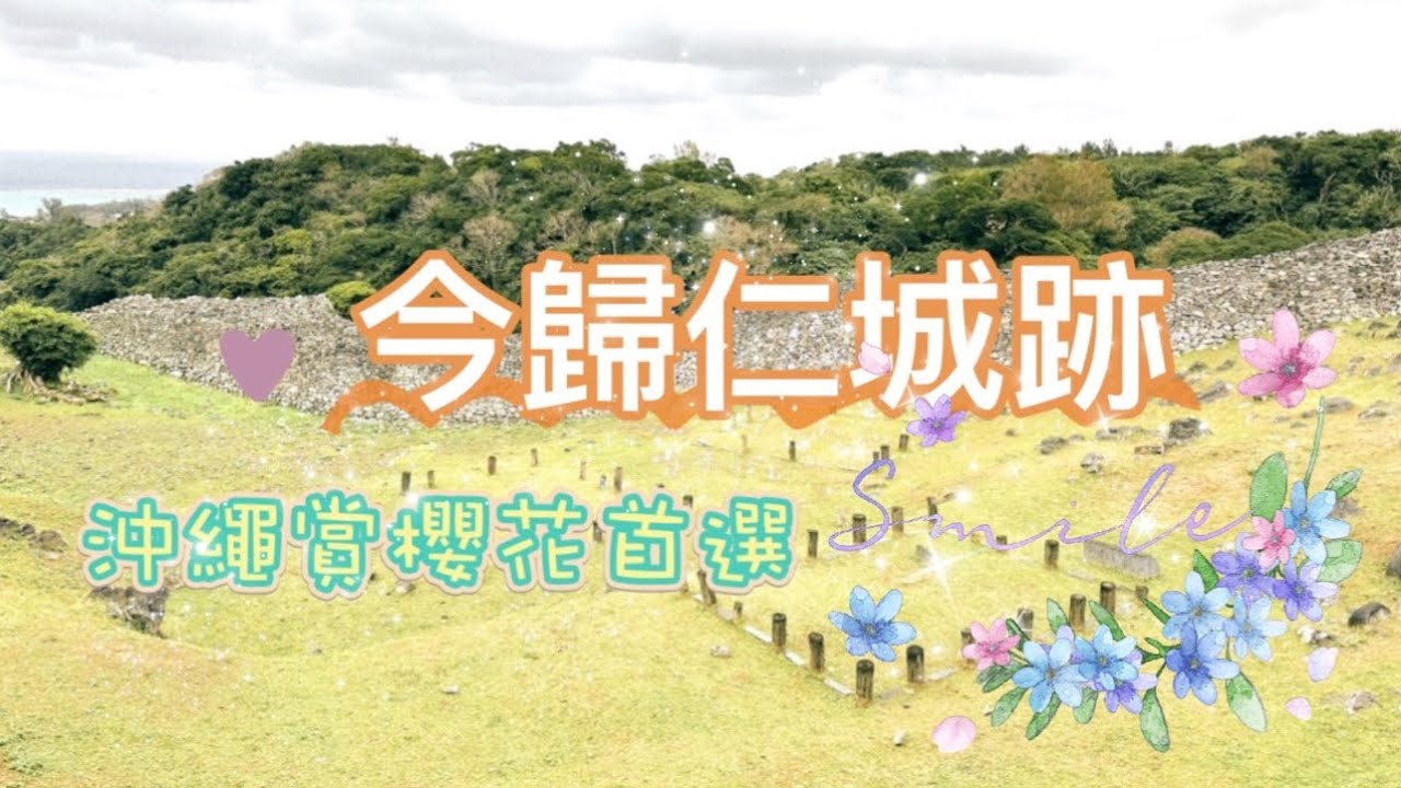 沖繩 賞櫻 櫻花 今歸仁城跡 Okinawa Nakijin Village 城の茶屋 さくら 寒緋櫻 JAPAN TRAVEL 4K