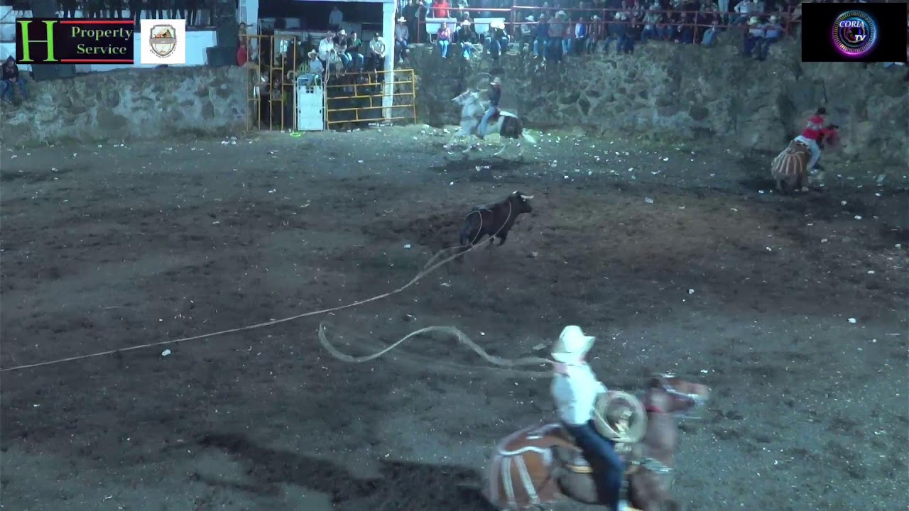 Jaripeo toros bravos, 7 Febrero