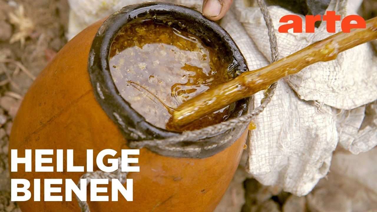 Äthiopien: Summende Schutzengel | Die Bienenflüsterer Reupload | ARTE Fernweh