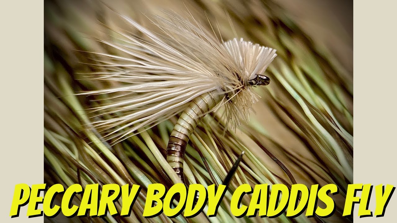 Fly Tying Tutorial  | Peccary Caddis Fly