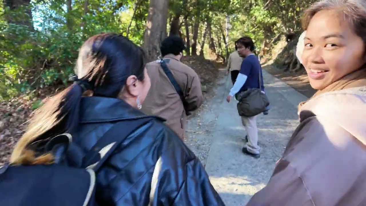 Things we wish we knew before studying in Japan & Then Climbing Up Mt. Takao