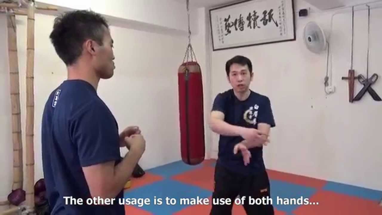 孝師傅研究室: 白眉拳八式二(鞭) PakMei 8 Fundamental Techniques Simple Demo II - 