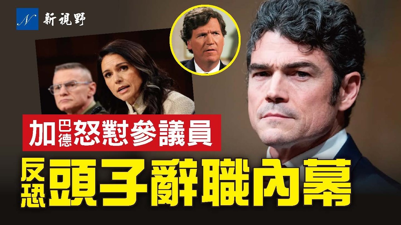 卡爾森涉案？國家反恐中心主任辭職真相，因洩密被調查。加巴德國會聽證，大戰參議員。#肯特 #加巴德 #卡爾森 | 新視野 第2247期 20260319