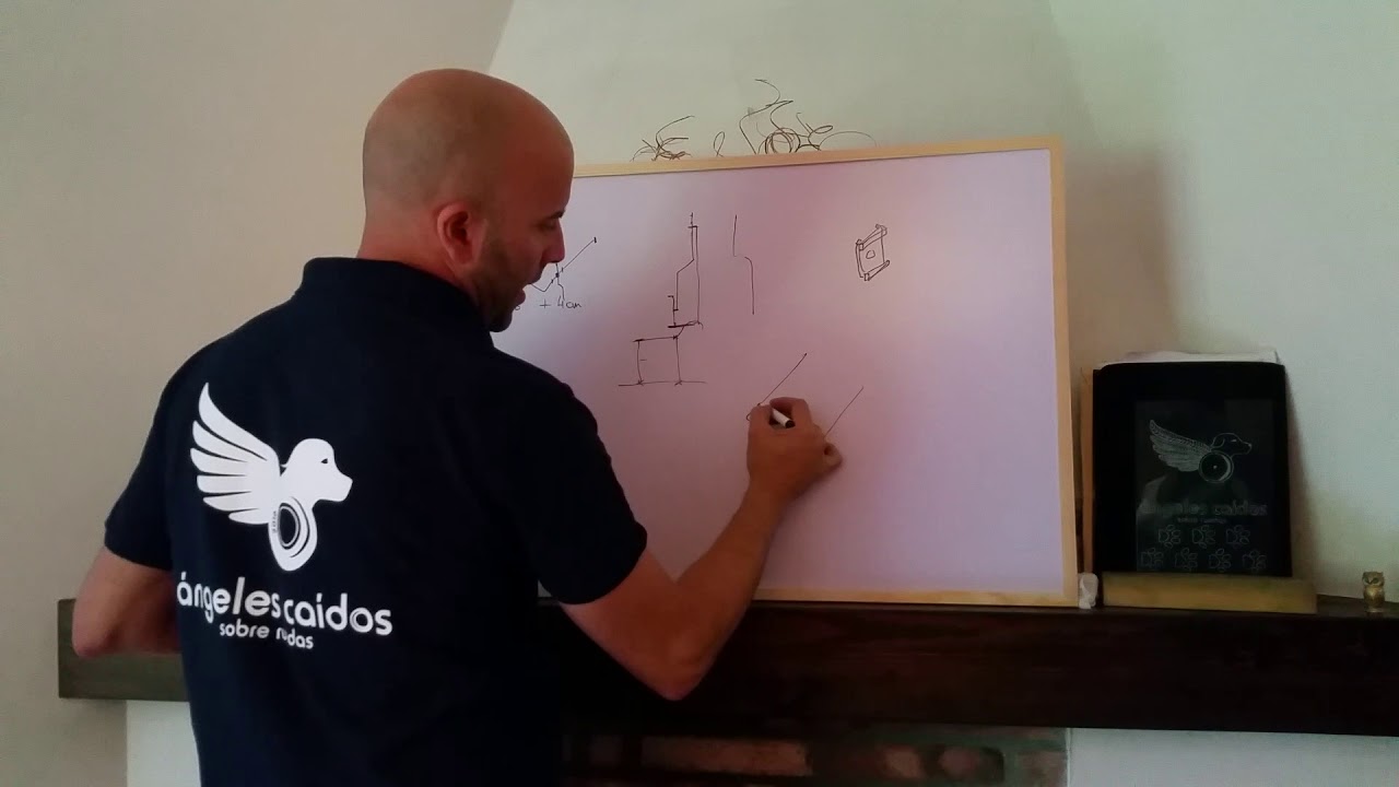 Ángeles caídos sobre ruedas