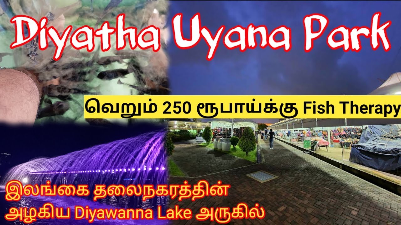 Diyatha Uyana Park | தியத உயன | Water Fountains | Diyawanna Lake | Fish Therapy | Sri Lanka