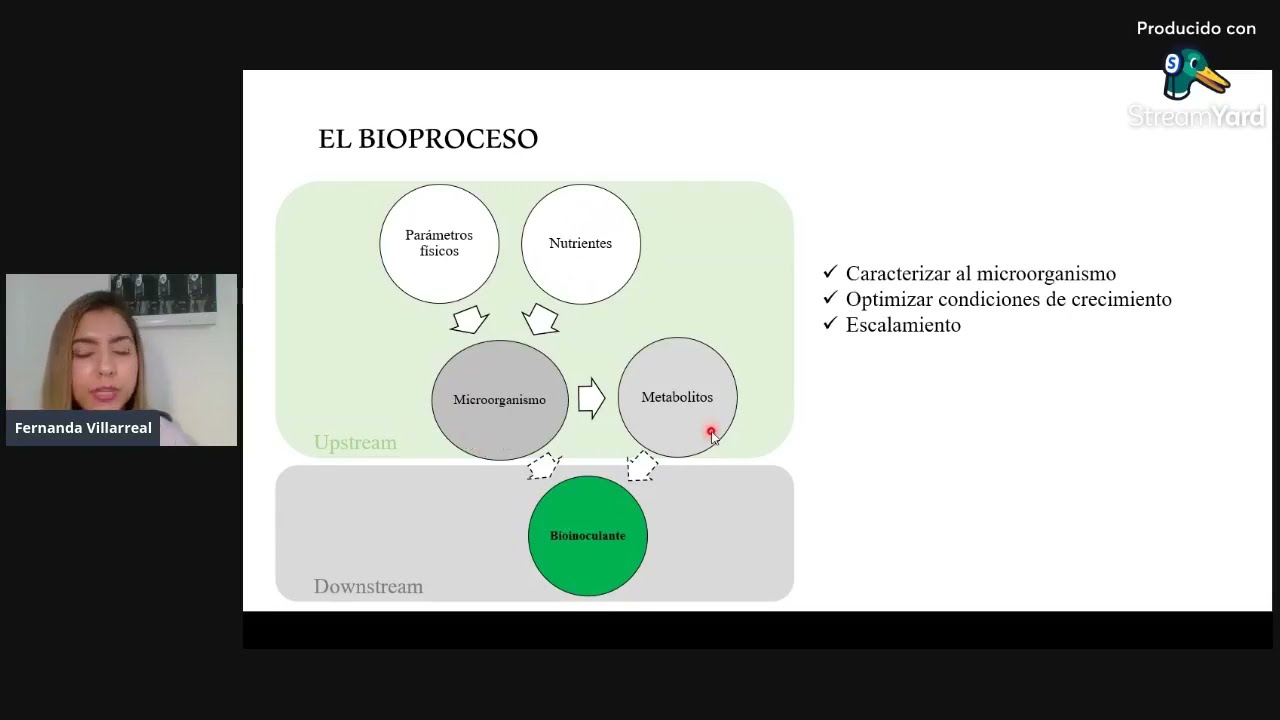 Producción masiva de microorganismos en medio liquido