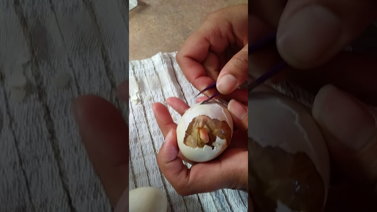 Helping the Ducks hatch!