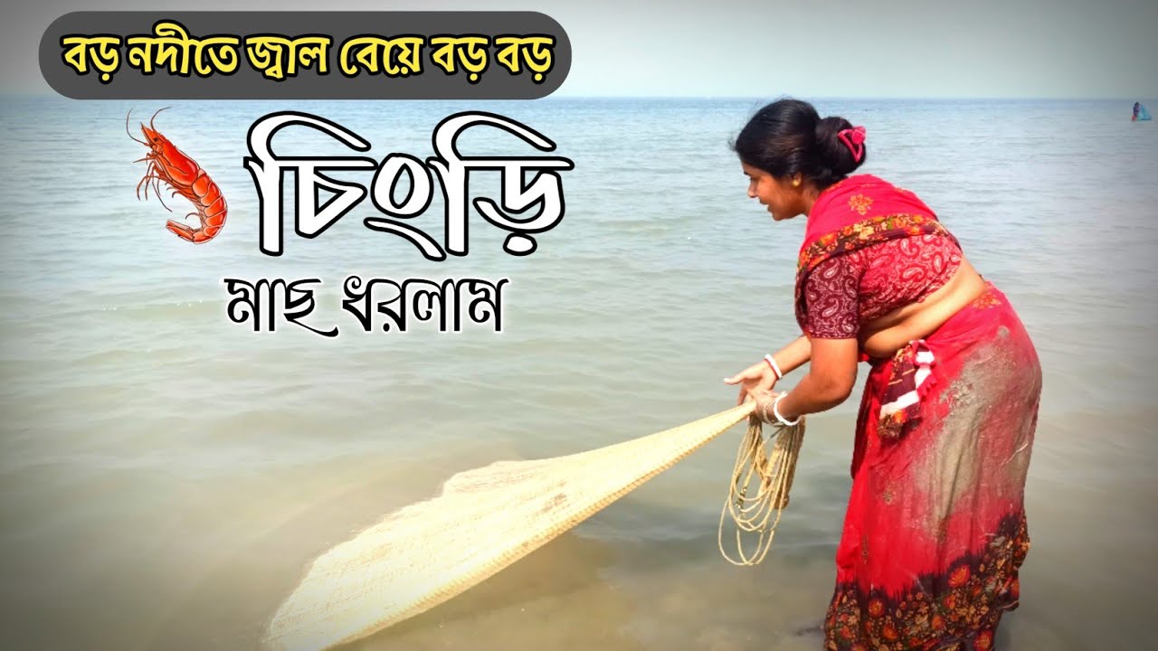 বড় নদীতে জাল ফেলে বড় বড় চিংড়ি মাছ ধরলাম River fishing video @Pujasundarbanlife 