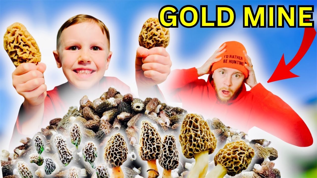 Morel Mushroom how to...(CATCH, CLEAN & COOK)