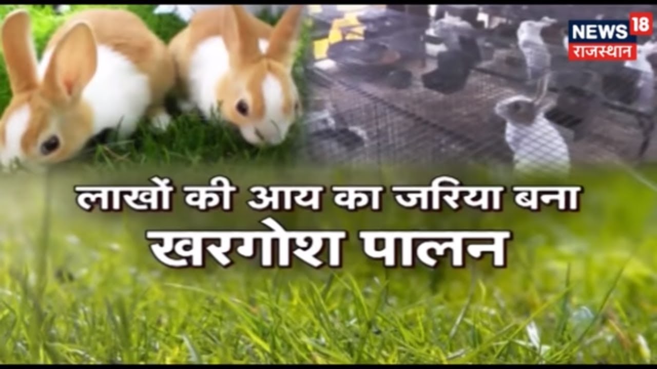 ANNADATA | खरगोश पालन से किसान कर सकते हैं लाखों की कमाई