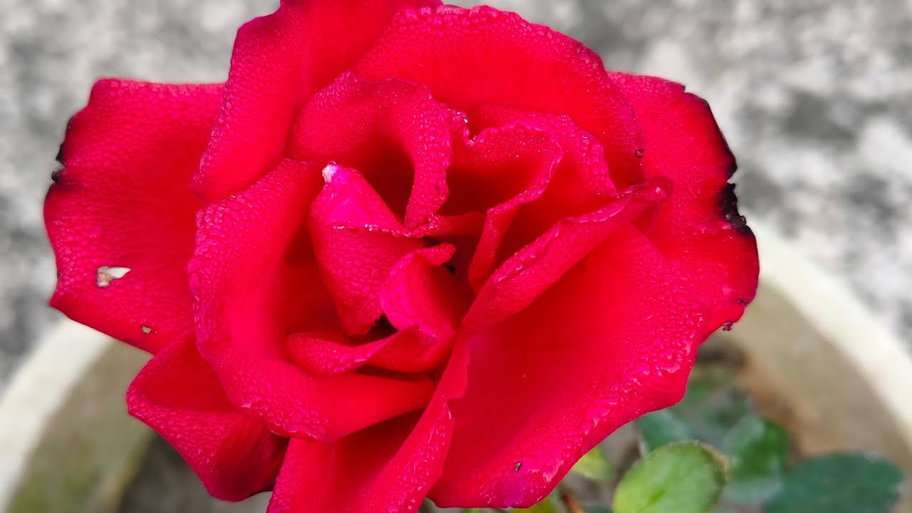 কি করছি এতো ঠাণ্ডায়