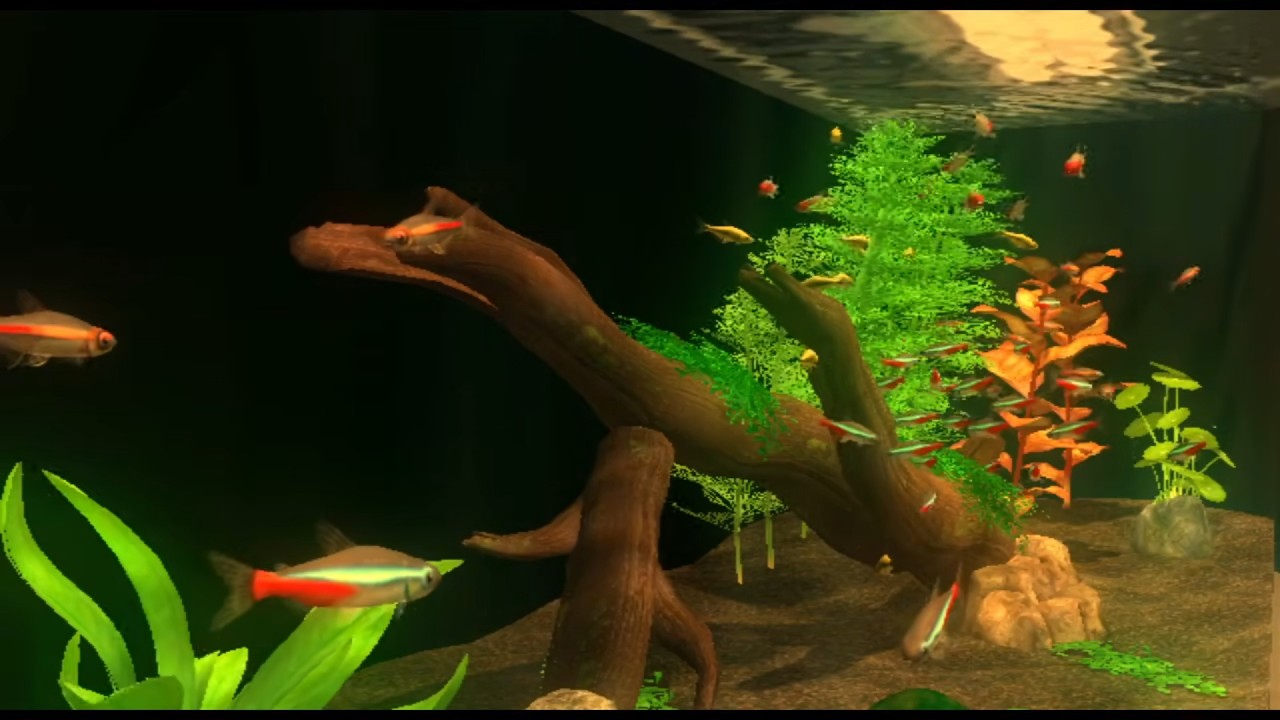 Virtual Aquarium + Deep Brown Noise  ( 12 Hours of Fish and Relaxation )