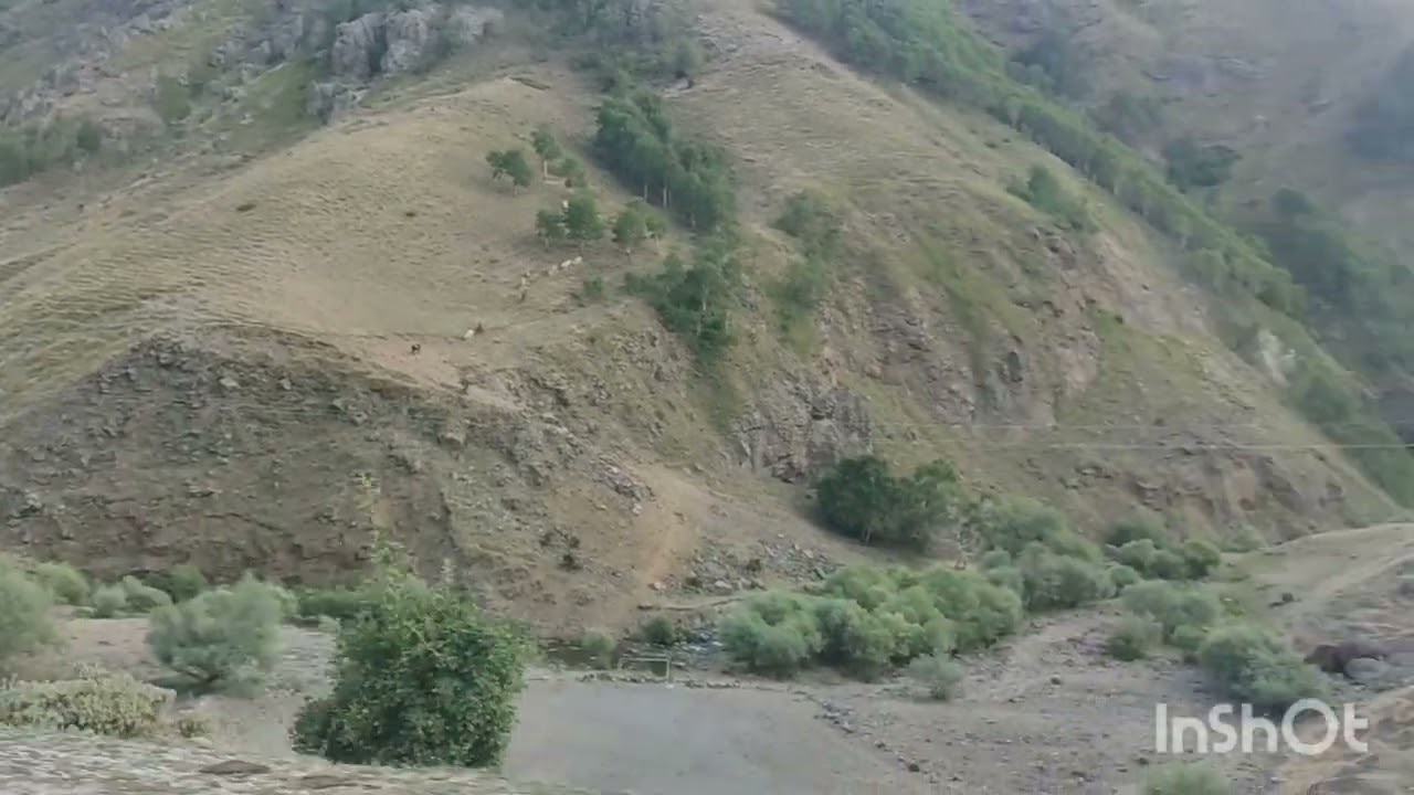 Erzurum / köprüköy / Geyikli köyü