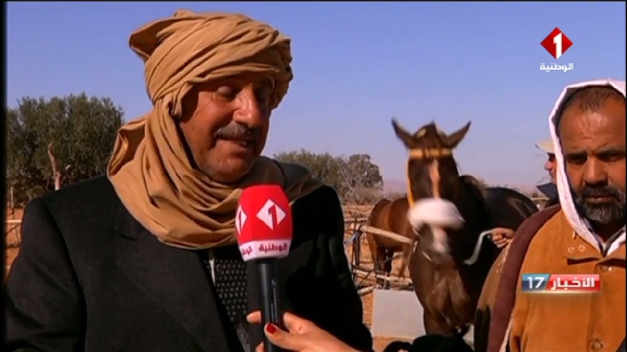 سيدي بوزيد : رغم سمعته الدولية قطاع تربية الخيول بالمكناسي مهدد بالإندثار