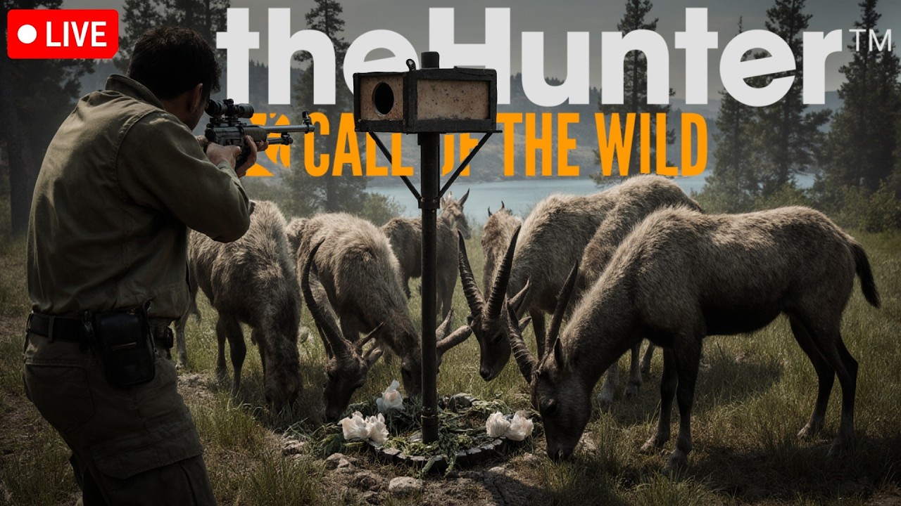 DIRECTO | BUSCANDO EL THAR MAGNIFICO | Thehunter: Call Of The Wild