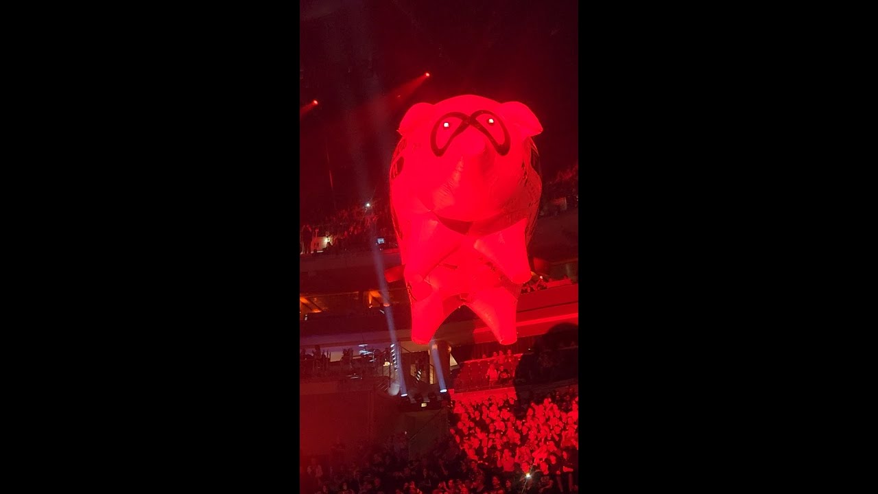 Roger Waters Flying Pig - Run Like Hell