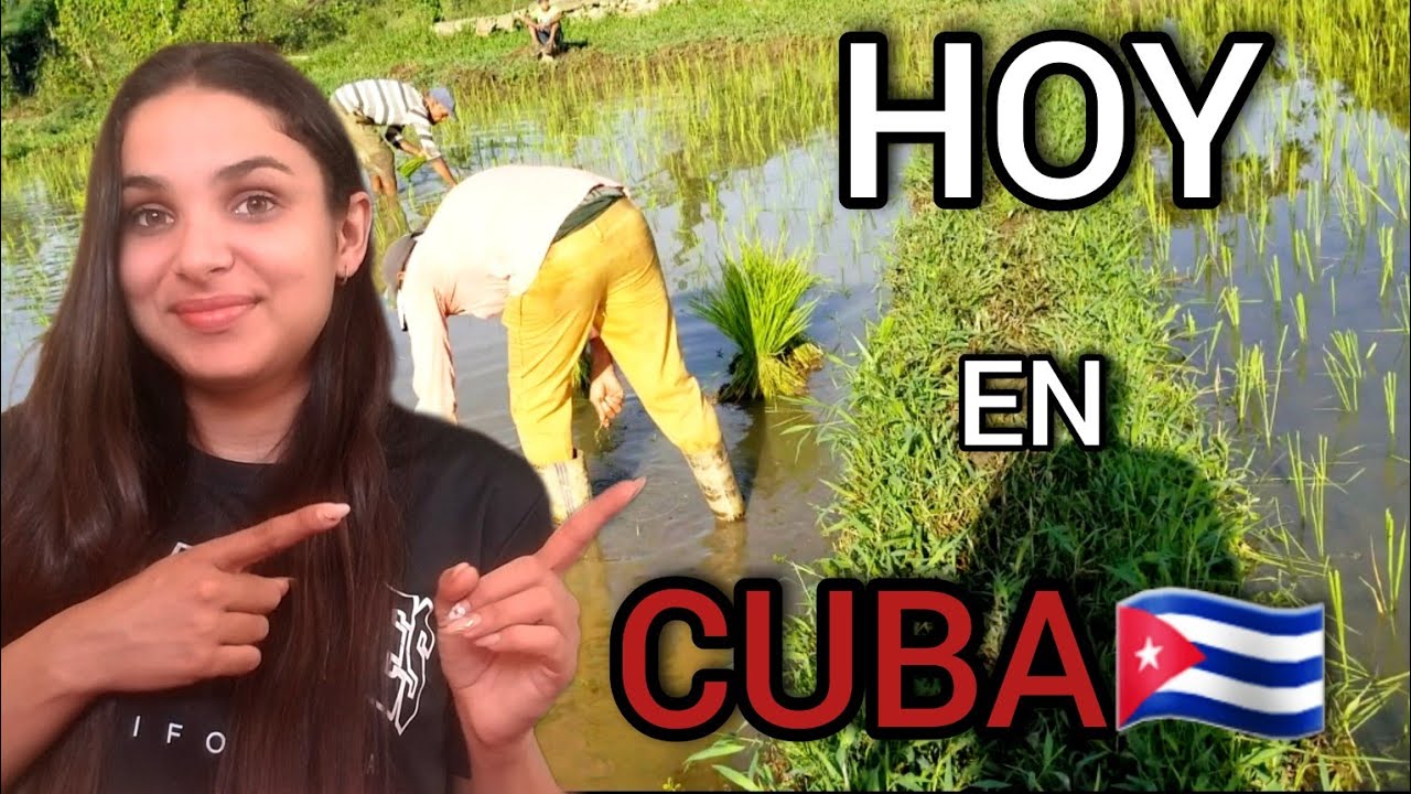 ‼ASÍ se vive en CUBA 🇨🇺 hoy‼ Doctora Cubana muestra la realidad en su país.