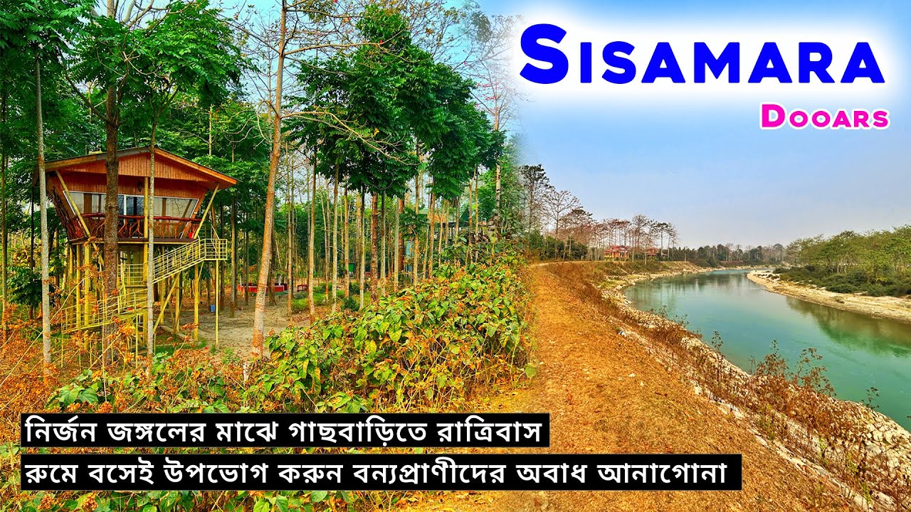 SISAMARA | JALDAPARA | DOOARS | Jungle Safari | Jaldapara Rhino Cottage | North Bengal Tour 2024