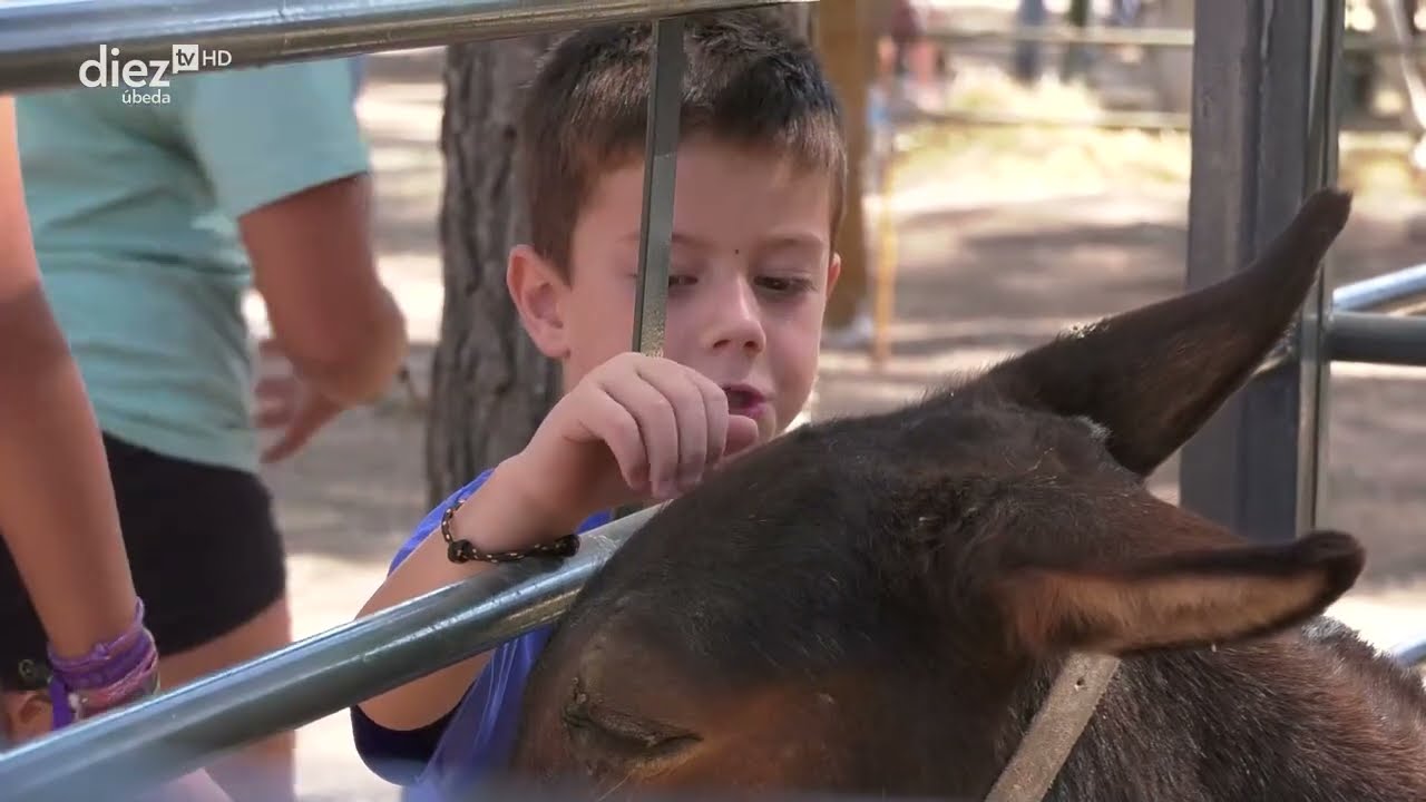 Feria de Torreperogil 2025 | 4 | Feria de Ganado