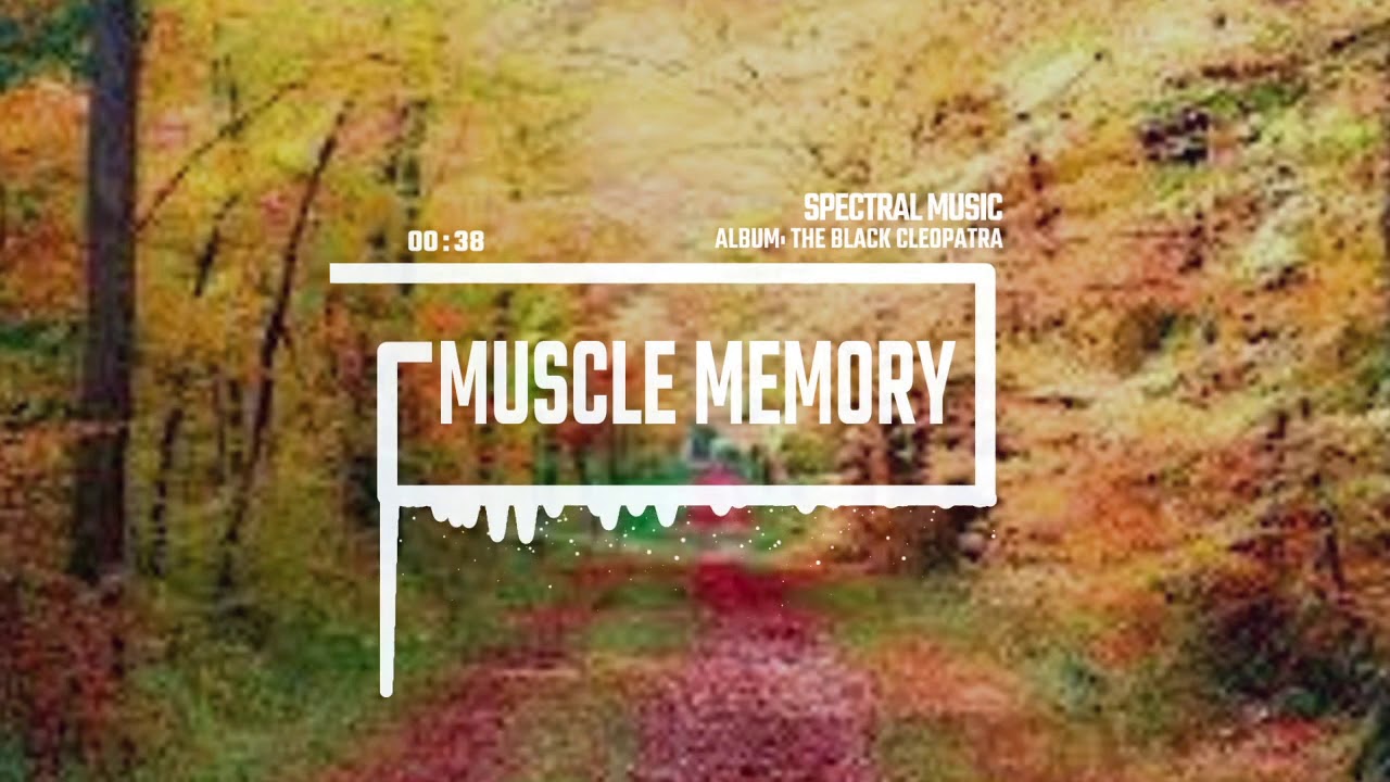 Muscle Memory - Spectral Music