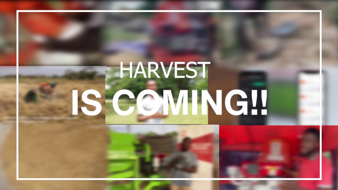 Grain Harvest Season Is Coming!!