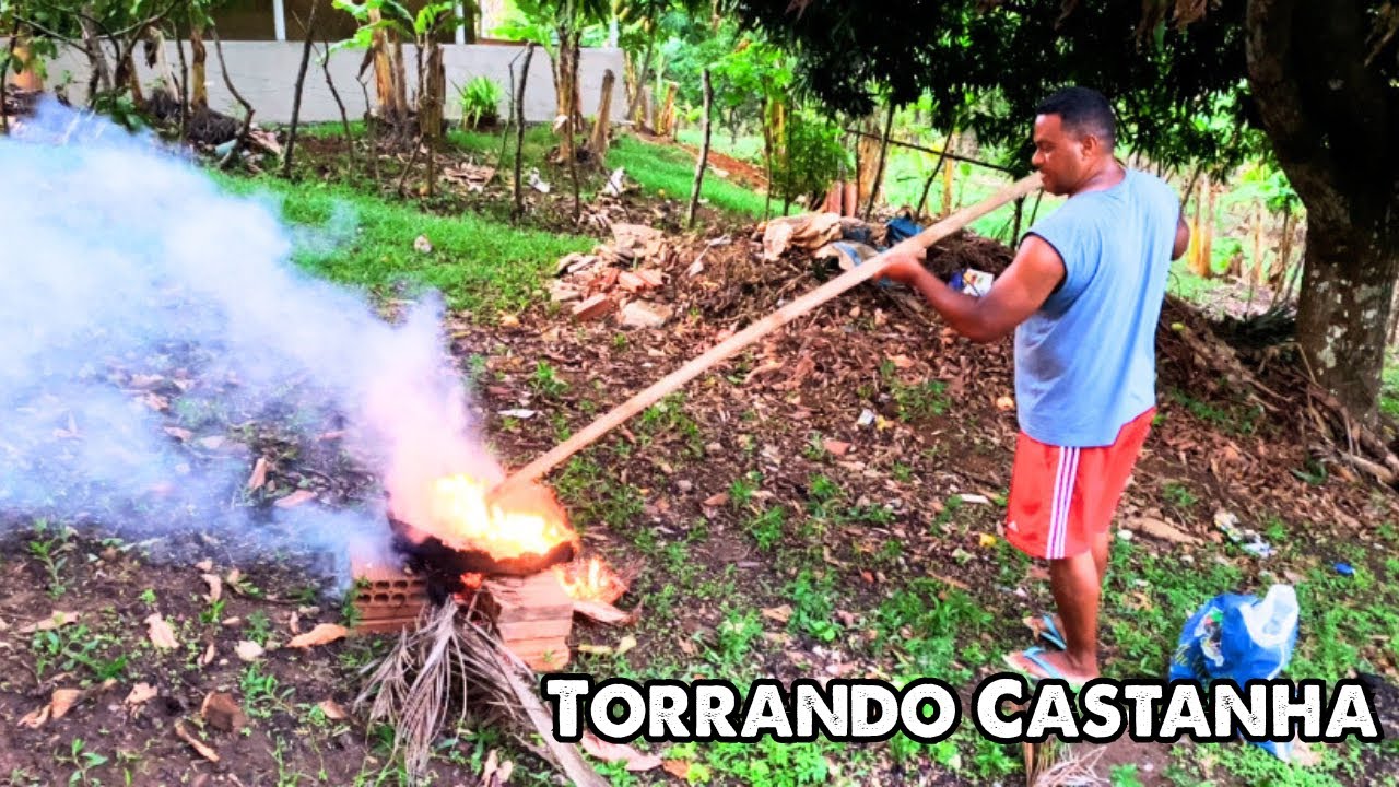 NOSSA TARDE NA RO&Ccedil;A TORRANDO CASTANHA DE CAJ&Uacute;