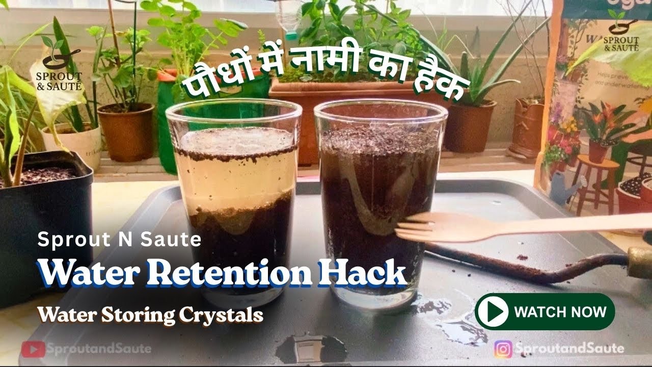 Do Water Storing Crystals Really Work? | Ugaoo Crystals Experiment | पौधों की नमी कैसे लॉक होती है? 